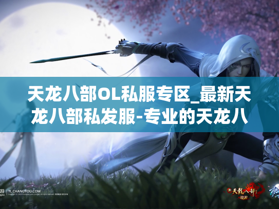 天龙八部OL私服专区_最新天龙八部私发服-专业的天龙八部私发服发布网
